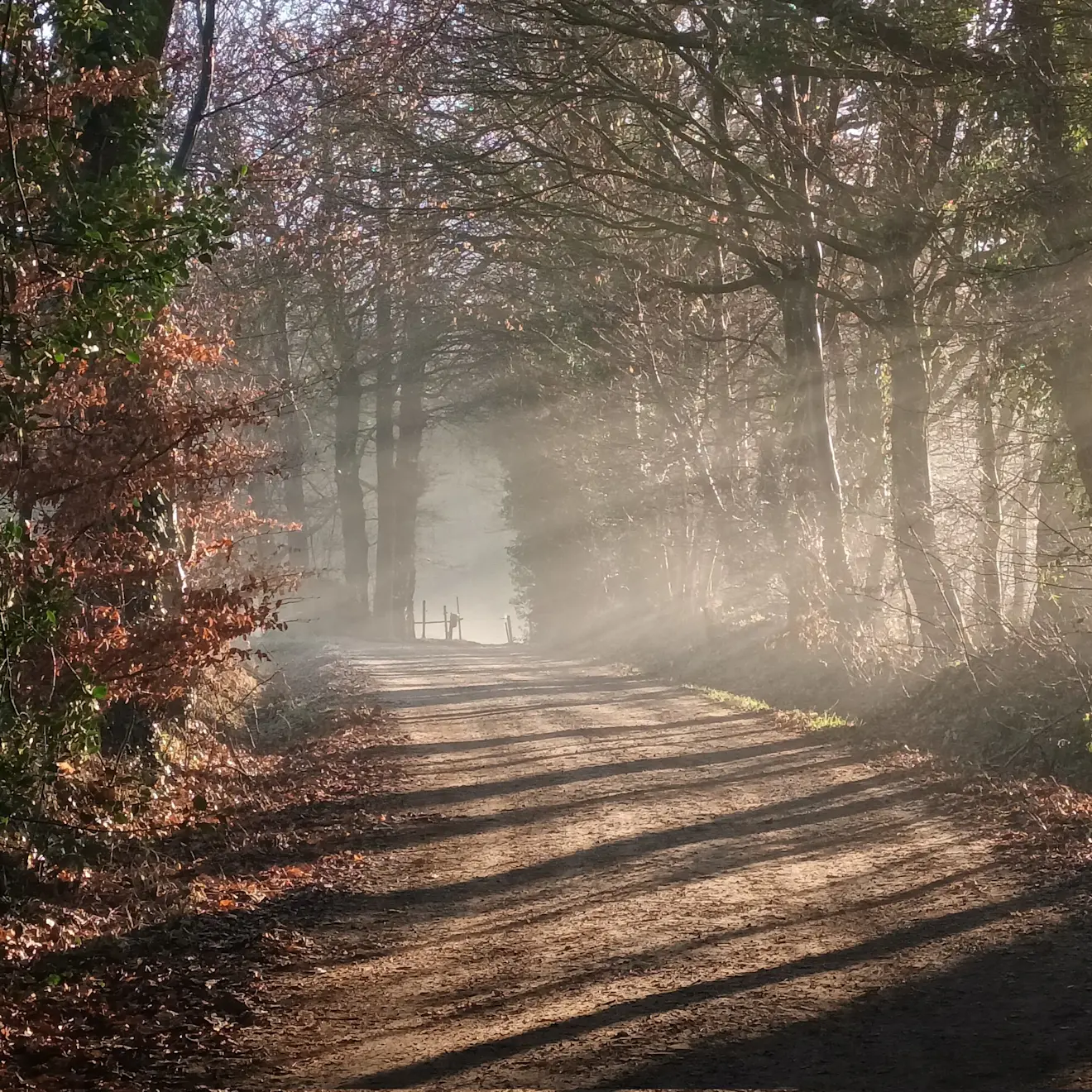 Nog even is de lange termijn in nevelen gehuld, maar ziet er wel spectaculair uit - Tonny Morsink