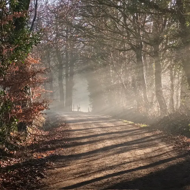 Nog even is de lange termijn in nevelen gehuld, maar ziet er wel spectaculair uit - Tonny Morsink