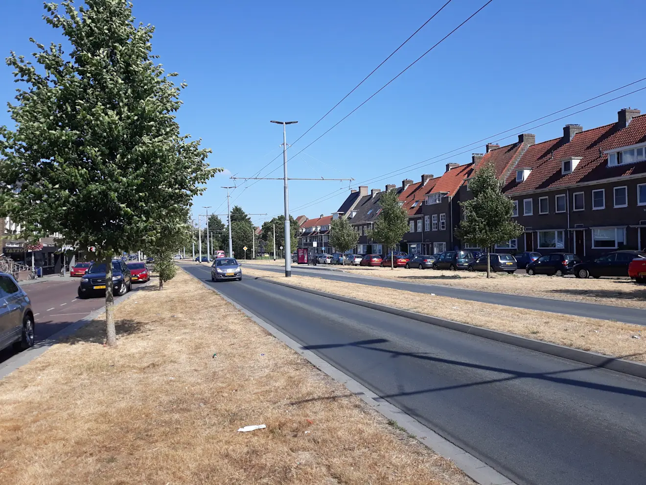 Blauwe lucht, gele grasstroken. Dat was het beeld - Grieta Spannenburg