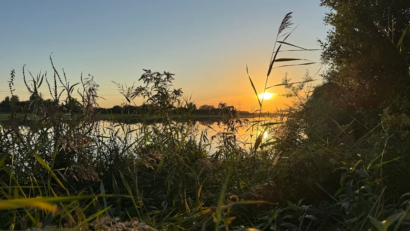 De zon gaat onder boven natuurgebied Hellegatsplaten - Sonja Hagens-Visser
