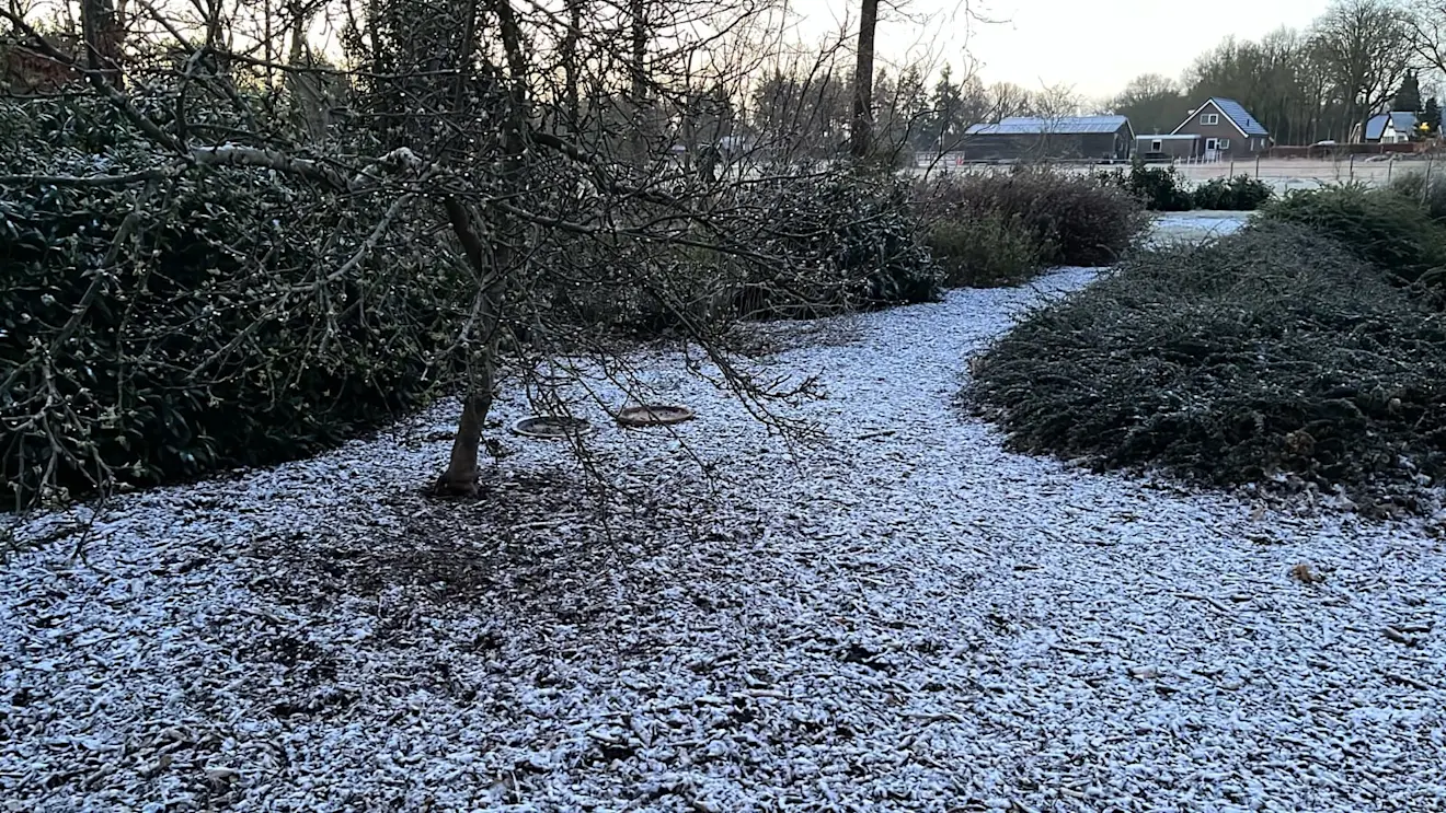 Een klein beetje sneeuw in De Kiel in Drenthe - Karin Broekhuijsen