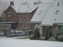 Bennekom in de sneeuw op 24 oktober 2003 - Tom van der Spek