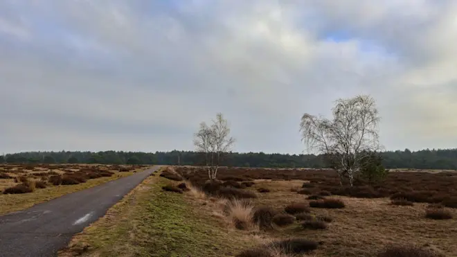 De zon probeert een gaatje te maken in Sint-Anthonis - Rob Schraven