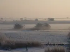 IJsmist, vlak boven de grond in de Ooijpolder, in de ochtend van 4 februari 2012 - Reinout van den Born
