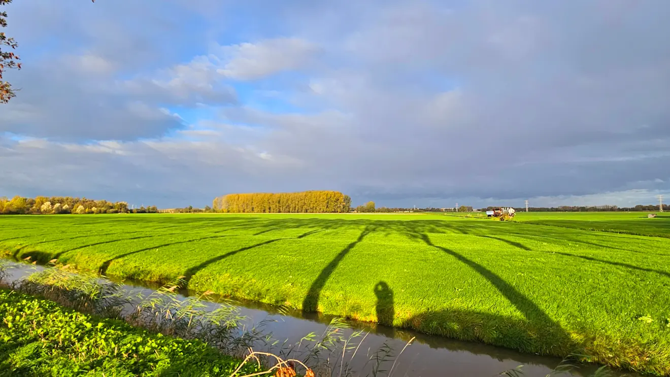 Een voor de herfst karakteristieke periode met zuidelijke winden lijkt vanaf halverwege volgende week te beginnen. Het kan dan ook even behoorlijk warm worden - Nely van Frankenhuyzen