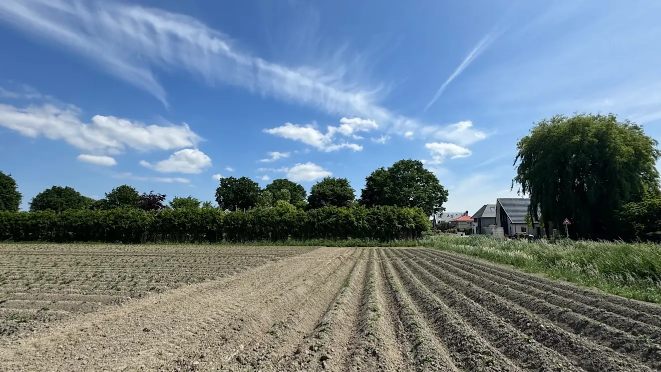 Voorlopig is het in Nederland nog droog en vaak zonnig - Jolanda Bakker