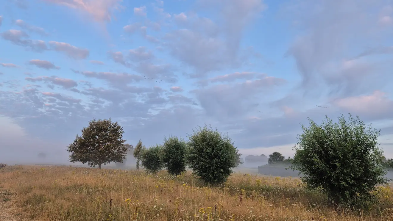 Een mooie dag begon in Roosendaal met een paar mistbanken - Francien Tax