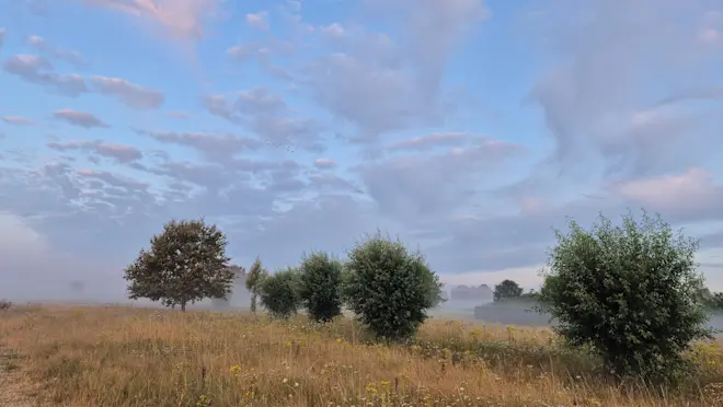 Een mooie dag begon in Roosendaal met een paar mistbanken - Francien Tax
