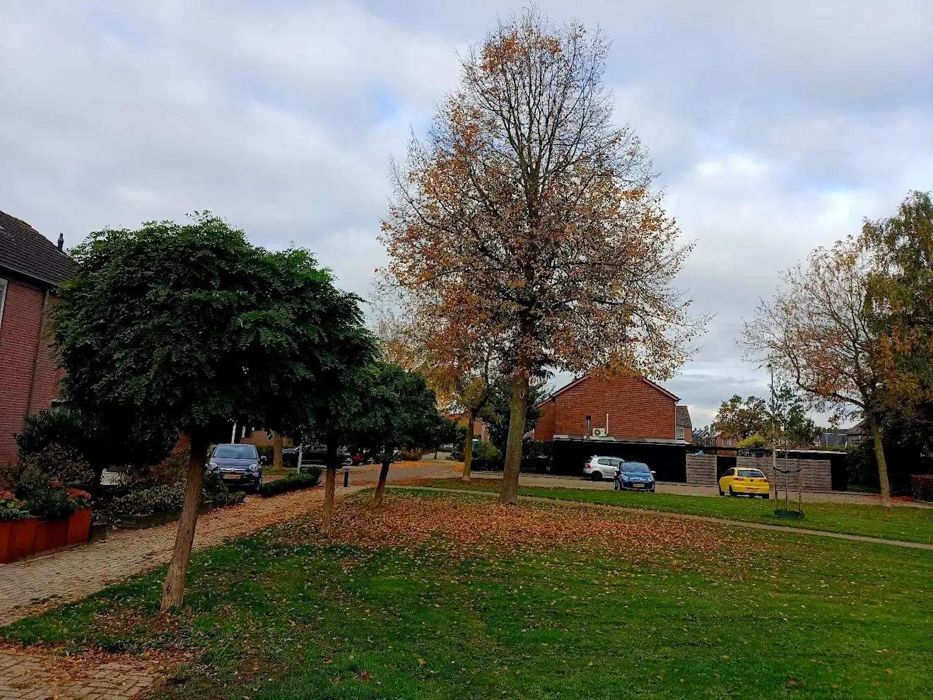 Herfstbeelden uit Beusichem - Huibert Boon