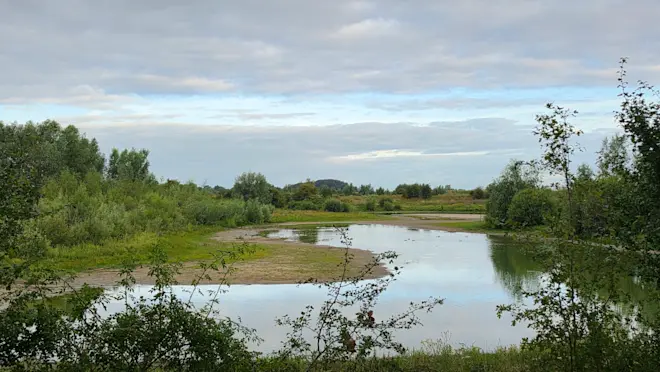 De droogte grijpt in Nederland steeds meer om zich heen - Nely van Frankenhuyzen