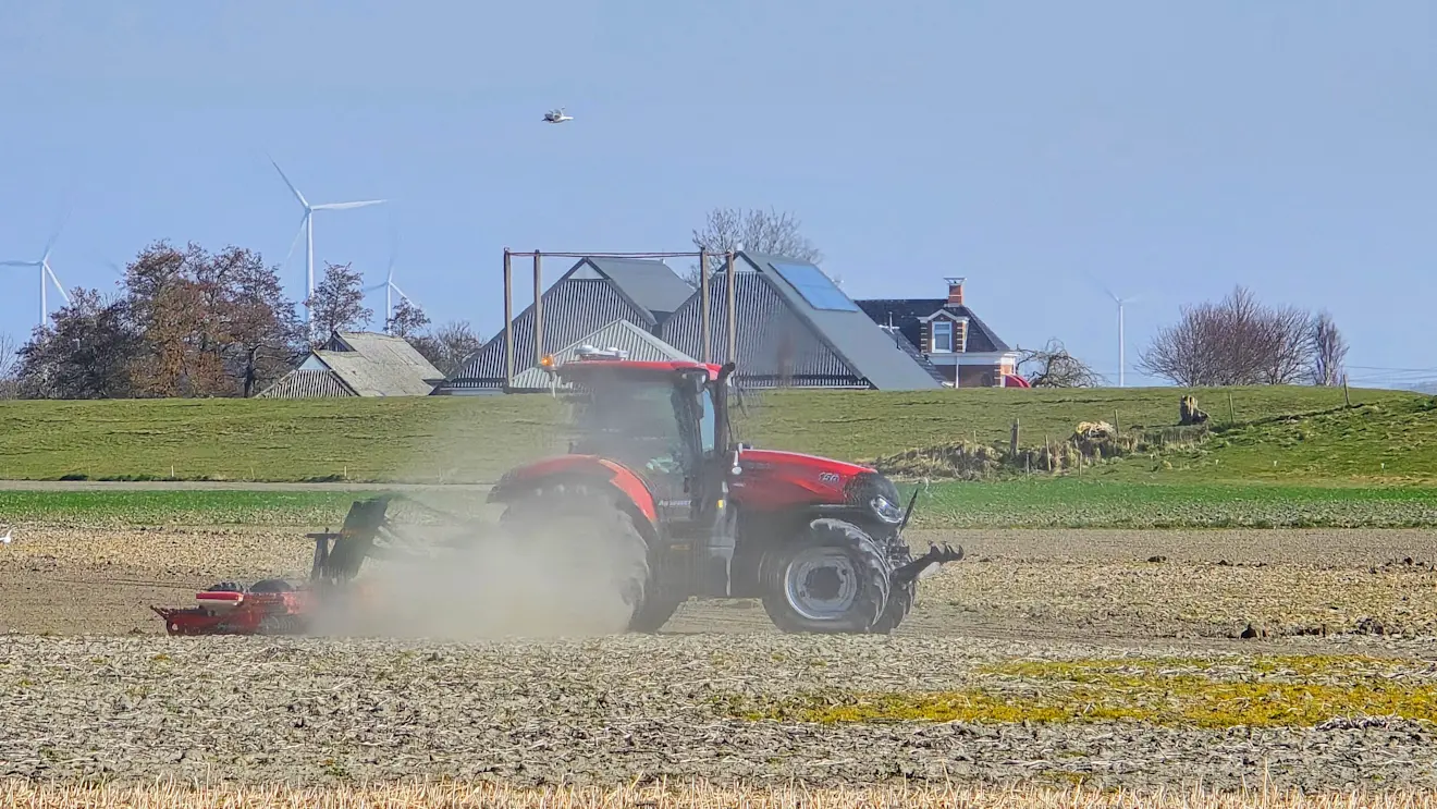 In het noordoosten stond gisteren een straffe oostenwind en kwam het hier en daar tot stofstormpjes - Jannes Wiersema