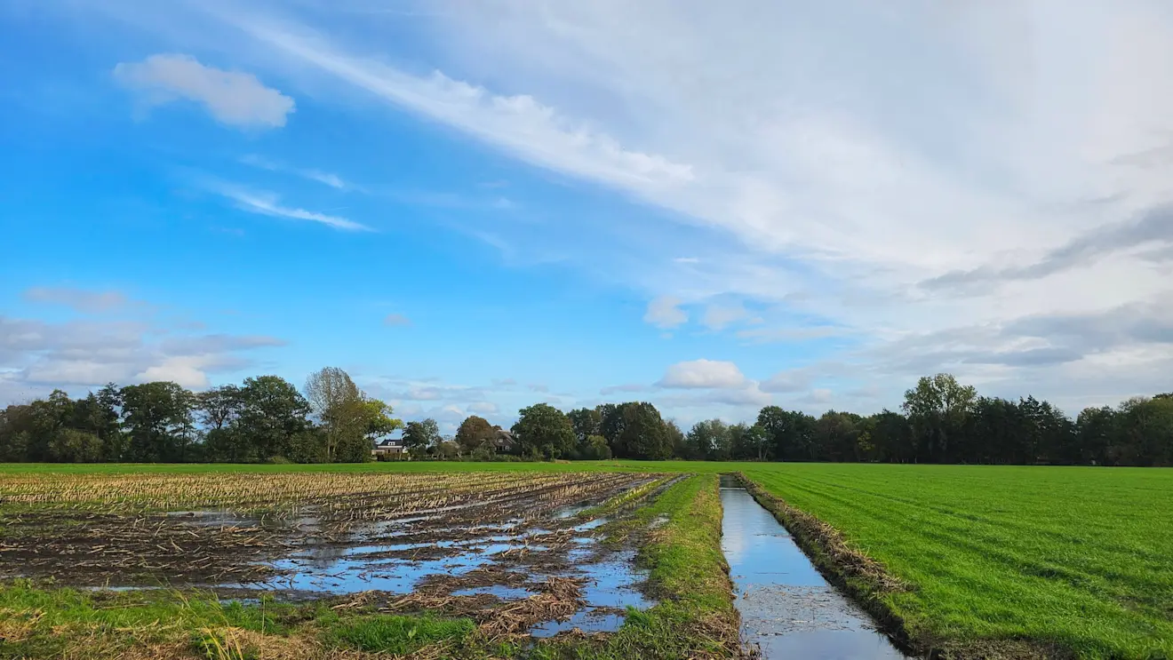 De regen van de laatste dagen heeft het land weer nat gemaakt, zoals hier in de buurt van Doornspijk - Jannine Sanders