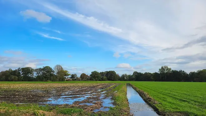 De regen van de laatste dagen heeft het land weer nat gemaakt, zoals hier in de buurt van Doornspijk - Jannine Sanders