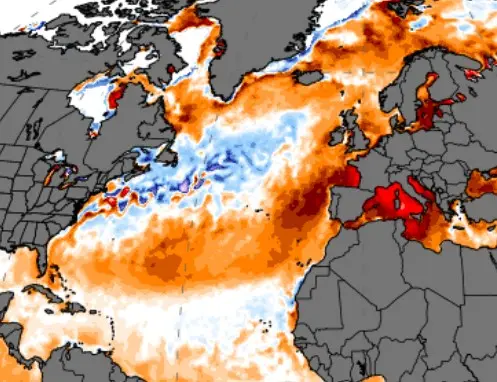 De koude blob op de oceaan - Climate Reanalyzer