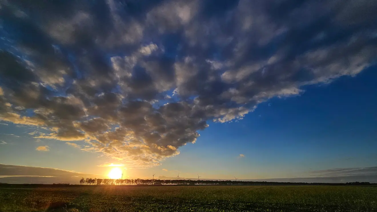 Eindelijk weer een beetje zon in de buurt van Biddinghuizen - Jannine Sanders