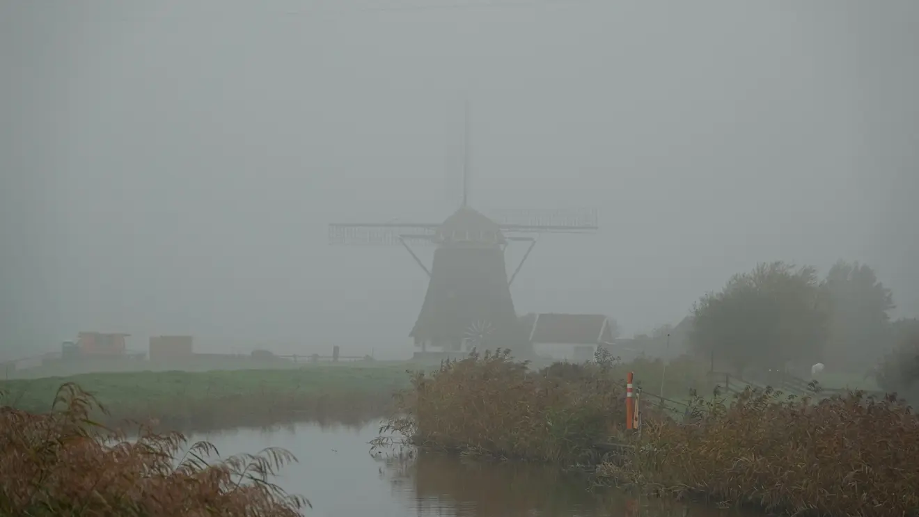 Alweer enkele dagen hebben we in Nederland rust in de tent - Ton Wesselius