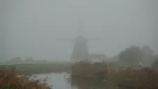 Alweer enkele dagen hebben we in Nederland rust in de tent - Ton Wesselius