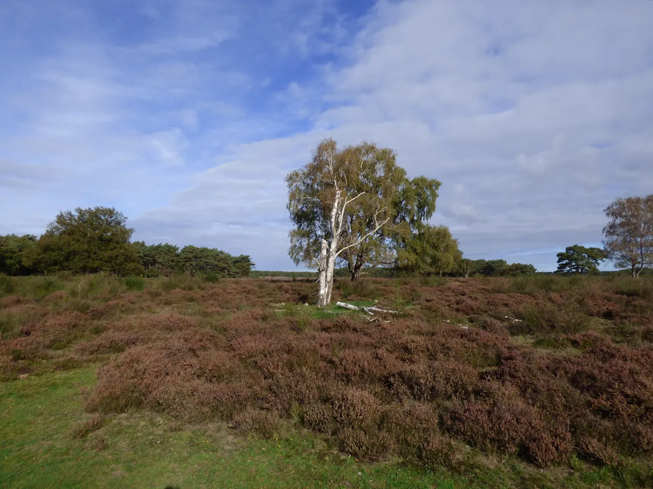 Wolken en zon boven de Hilversumse hei - Chris Meewis