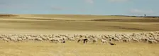 De Spaanse hoogvlakte, waar het erg heet kan worden. Nog extremer in de valleien die de vlakte doorsnijden - Ruud Zwart