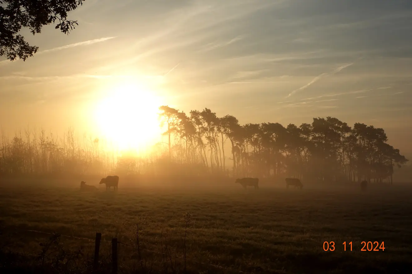Zon komt op in de mist - Tonny Morsink