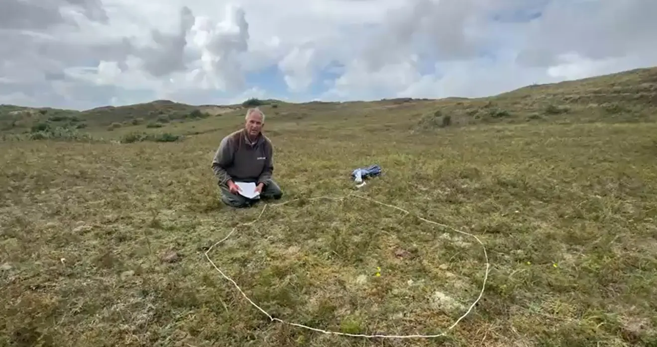 Harrie van der Hagen aan het werk in één van de duinpannen - Pieter Bliek