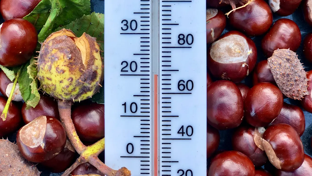 Het was gisteren een warme dag. Ook vandaag kan het lokaal 20 graden of nog iets warmer worden - Jolanda Bakker
