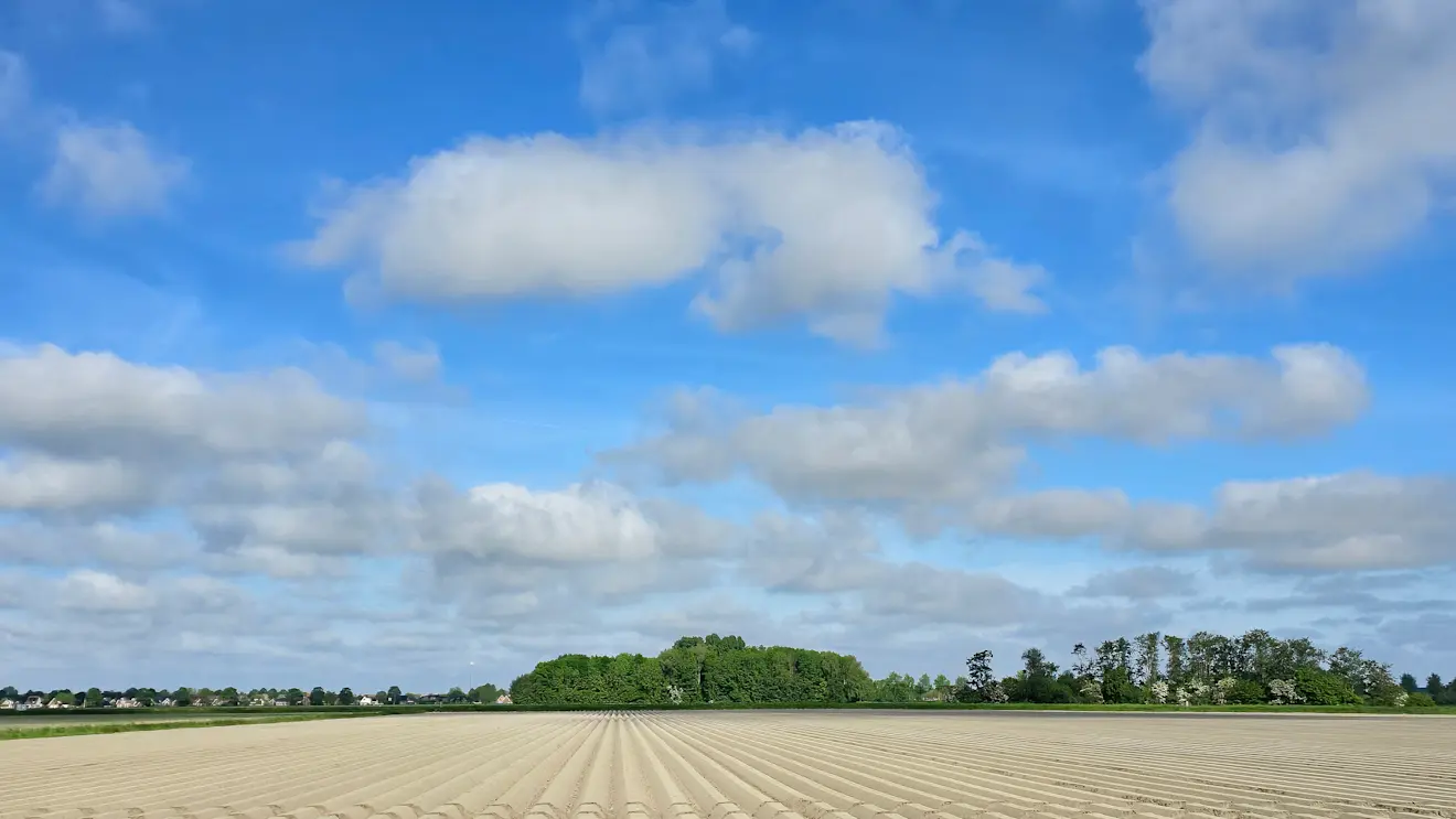De dag begon vanochtend nog bewolkt, maar al snel kwam de zon er weer door - Jannes Wiersema