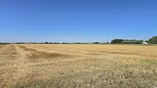 Droge lucht en veel zon boven Noordoost-Groningen - Jannes Wiersema
