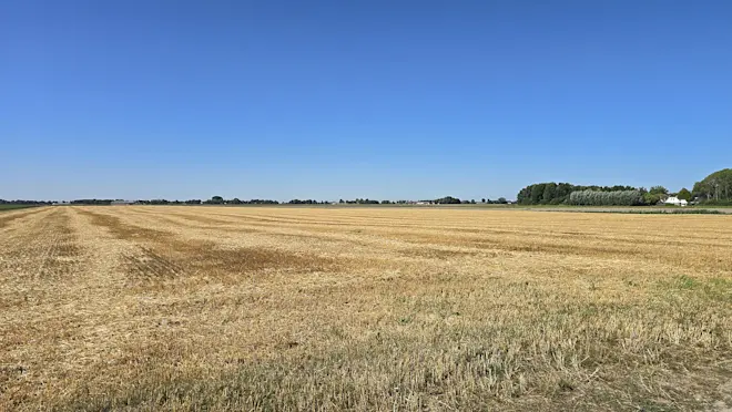 Droge lucht en veel zon boven Noordoost-Groningen - Jannes Wiersema
