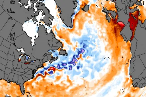 De 'koude blob' op de oceaan, vandaag - Climate Reanalyzer
