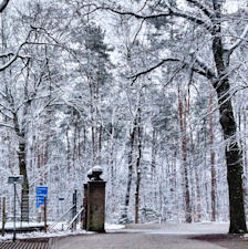 In 2023 sneeuwde het nog op 8 maart.