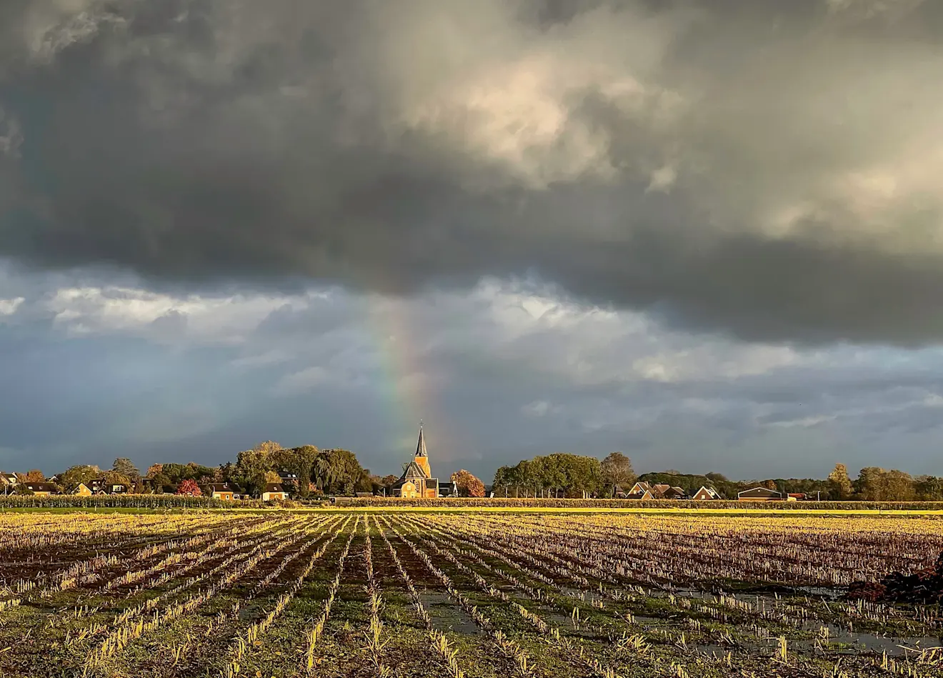 En als de zon dan even doorbreekt, wordt het meteen prachtig boven Gellicum - John Oomen