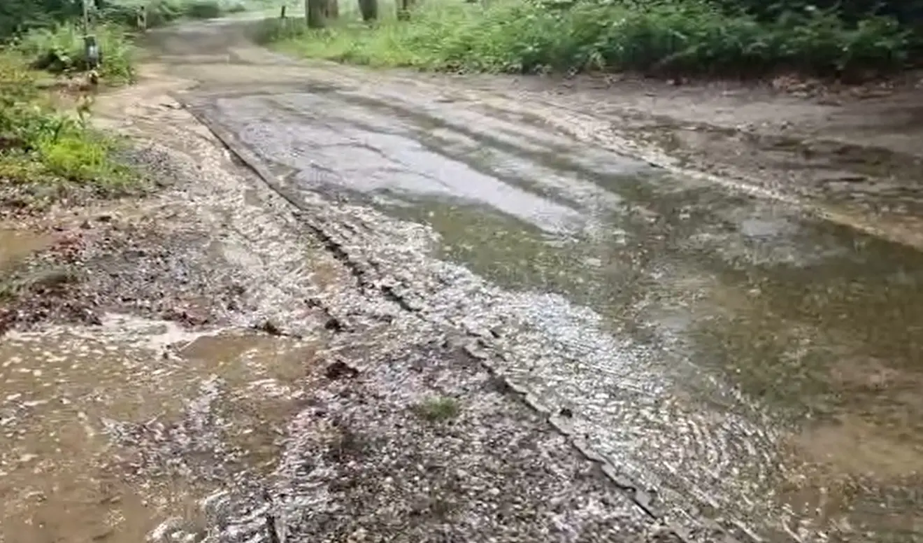 Het water stroomt alle kanten op - Reinout van den Born