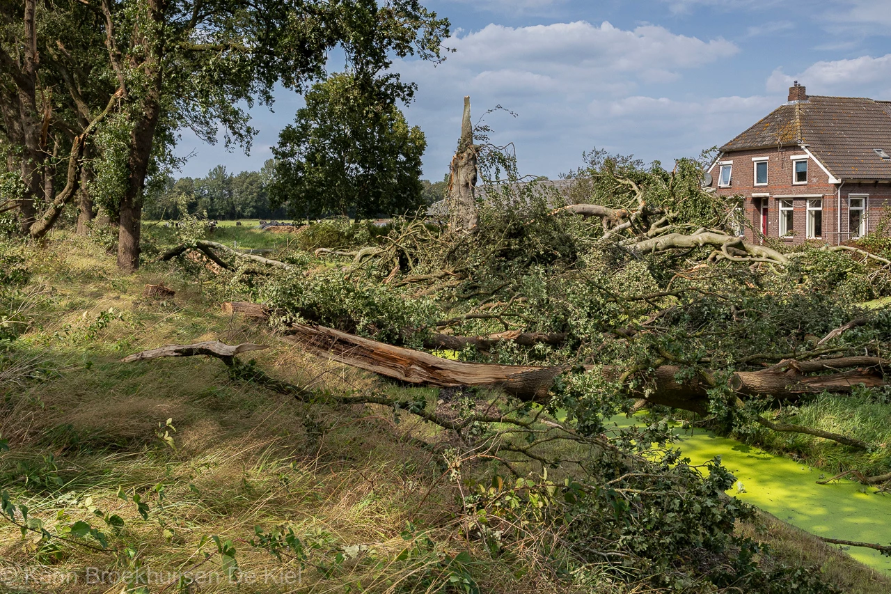 De schade voor het huis is enorm - Karin Broekhuijsen