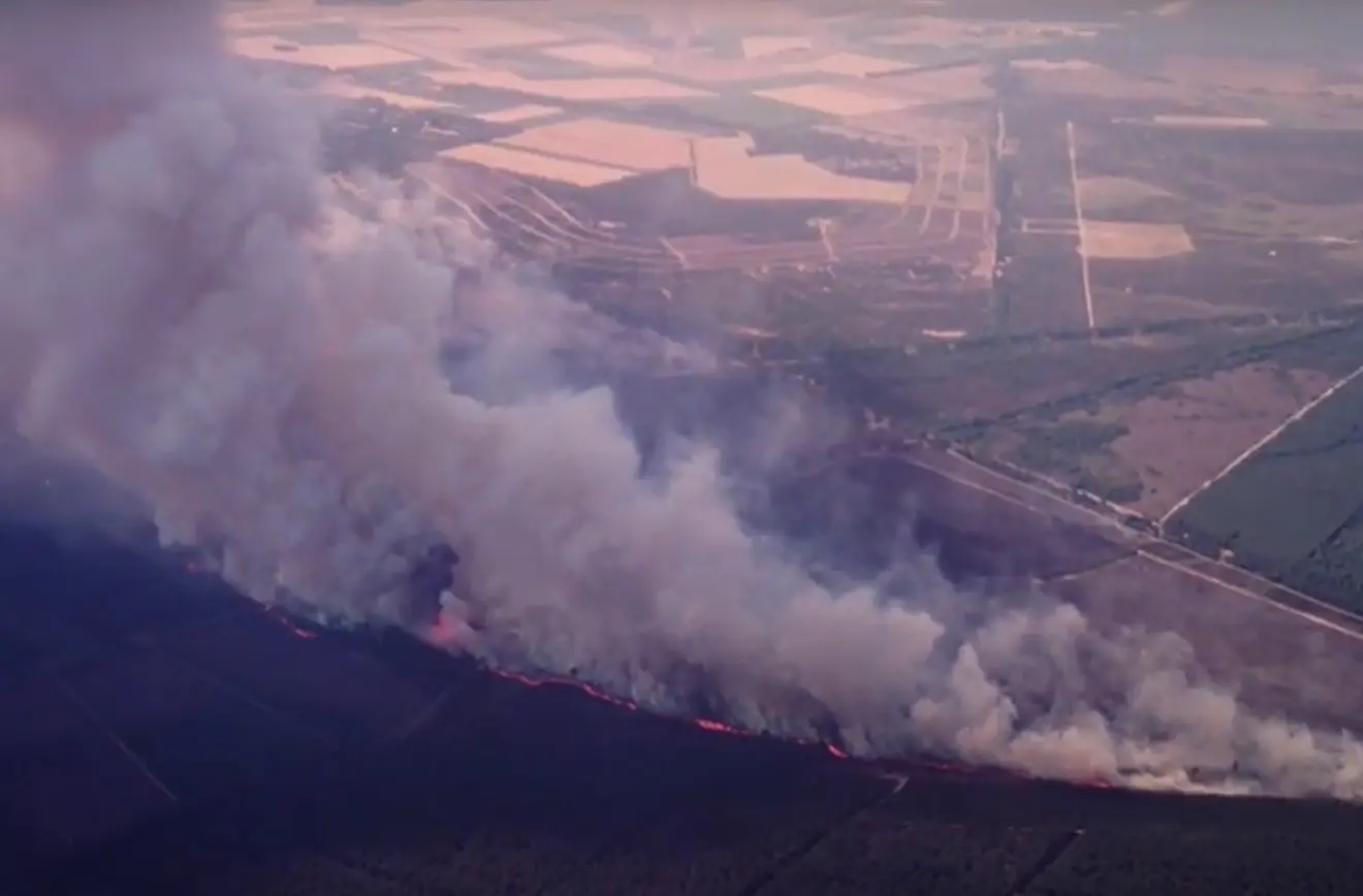 Eén van de branden op de Veluwe tijdens de zomer van 1976 - Still uit video