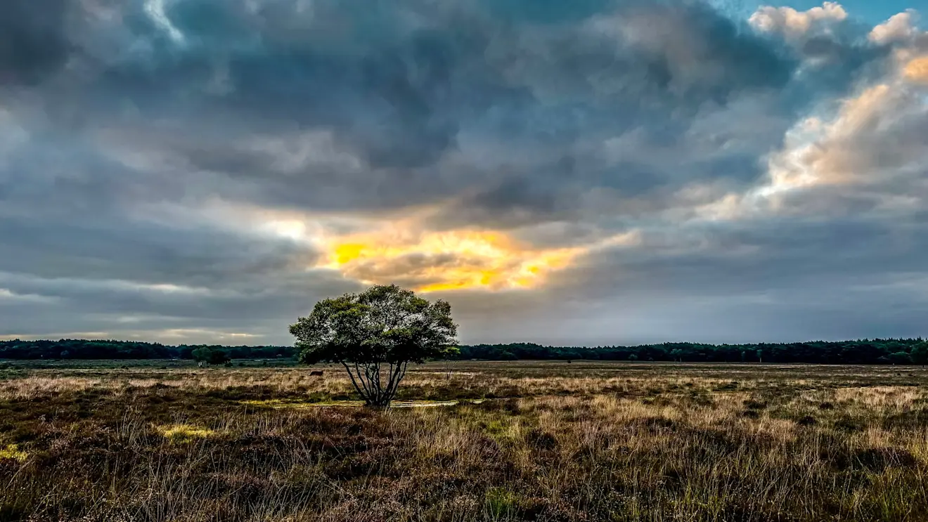 Een 'Ring of Fire' boven de heide van Laren - John Oomen