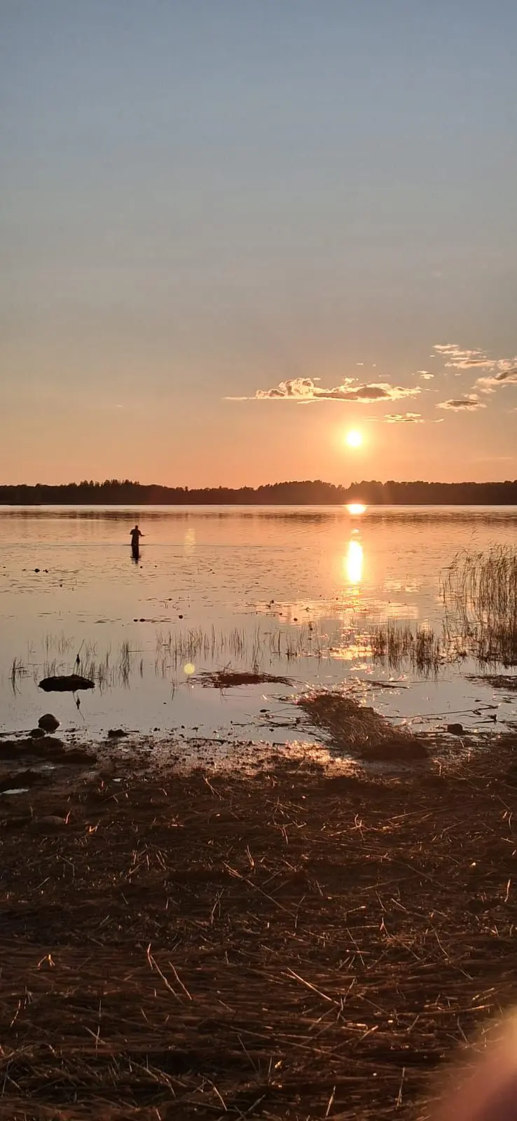 En de nachten zijn in deze tijd van het jaar maar kort - Maartje Kampjes