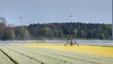 Tulpenvelden worden beregend - Jannine Sanders