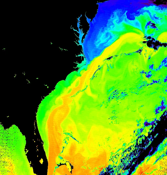 De Warme Golfstroom, zoals hij langs de kust van de VS naar het noorden stroomt - Terra Modis / NASA