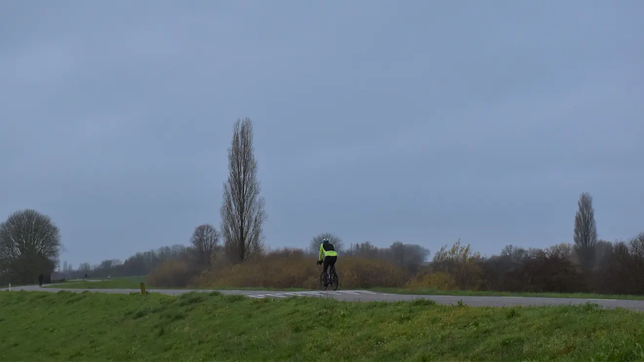 Het was ook vanochtend weer grijs. De fietser gaf nog wat kleur - Cynthia van Leusden