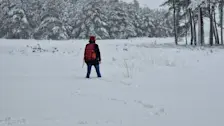 Een dikke laag sneeuw in het Deelerwoud, eerder dit jaar - Reinout van den Born