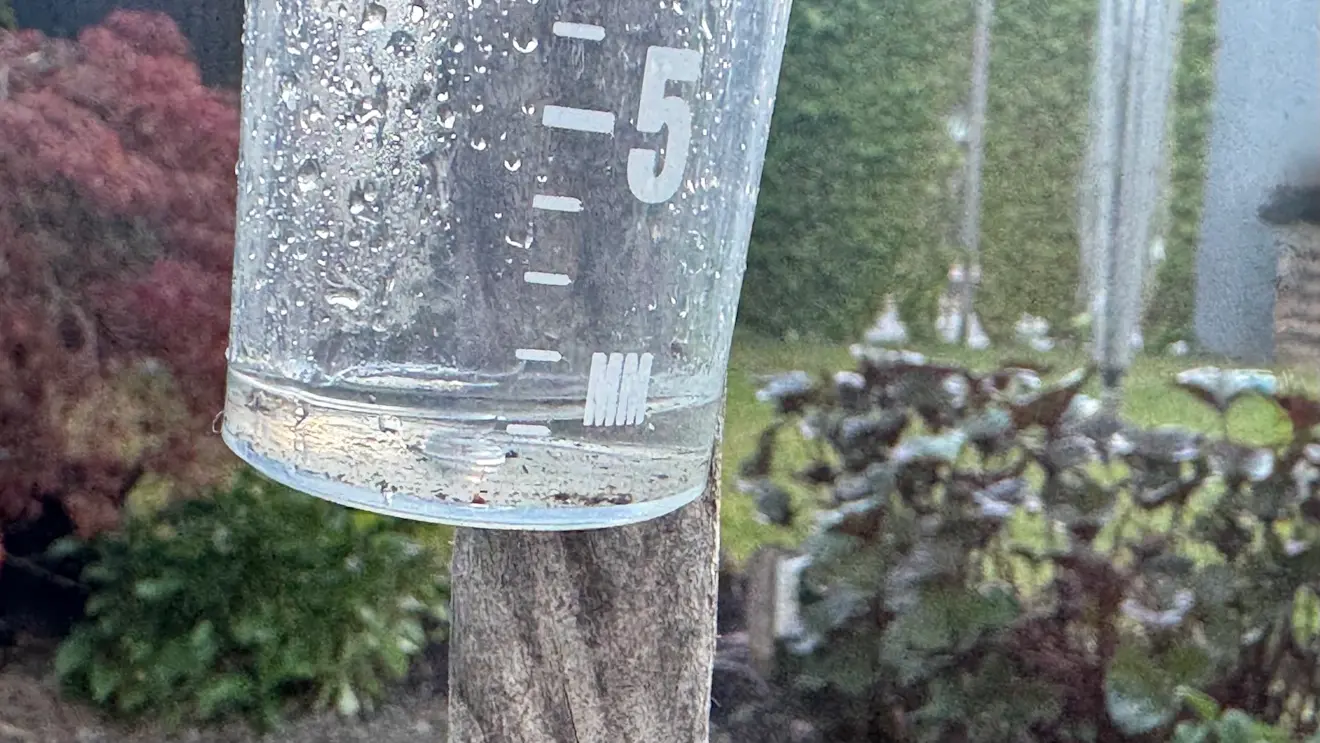 In Zevenhuizen was vanochtend al iets meer dan een millimeter gevallen - Jolanda Bakker