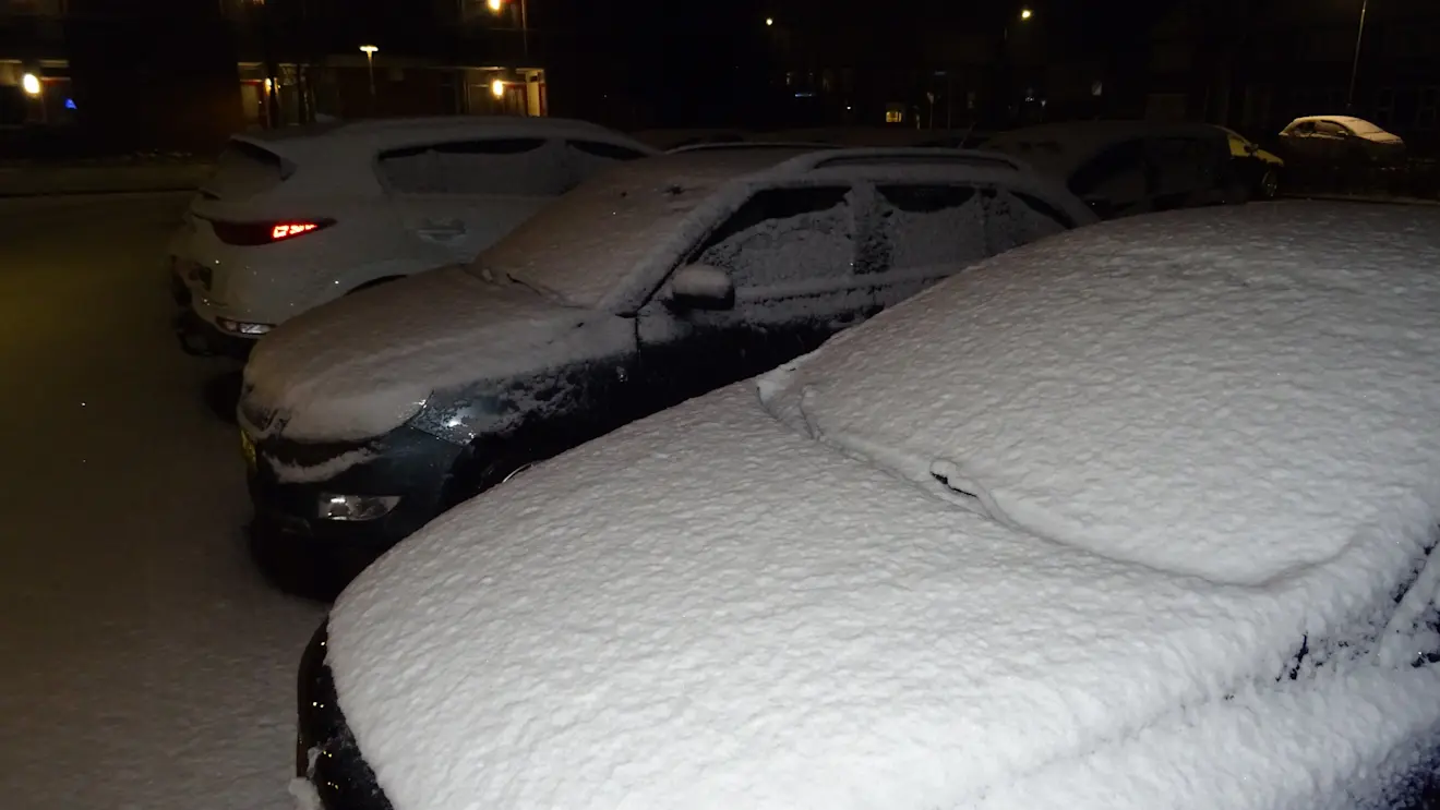 Sneeuw, vanochtend in Friesland - Albert Thibaudier