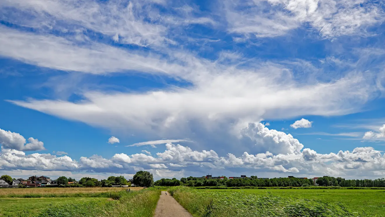 Prachtig uitgesponnen buienwolken staken fel wit af tegen een staalblauwe lucht - Simone Wiersma