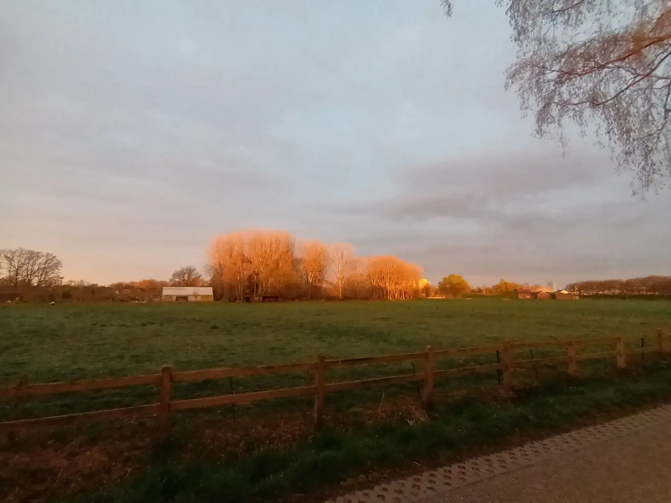 Wolkenvelden en soms een beetje zon - Tonny Morsink