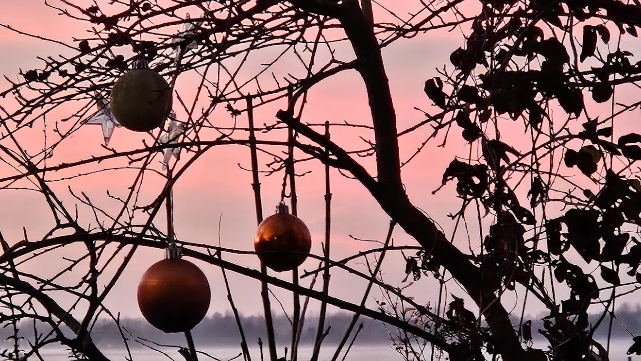 We gaan recht op een Koude Kerst af - Nely van Frankenhuyzen