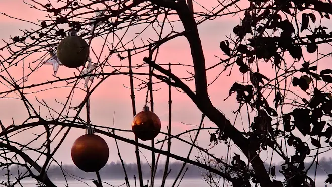 We gaan recht op een Koude Kerst af - Nely van Frankenhuyzen