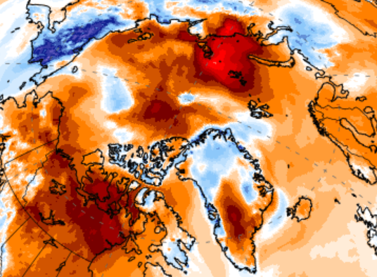 De afwijkingen van de temperatuur ten opzichte van normaal in het noordpoolgebied van dit moment. Het is er nog steeds een stuk warmer dan gebruikelijk - Climate Reanalyzer
