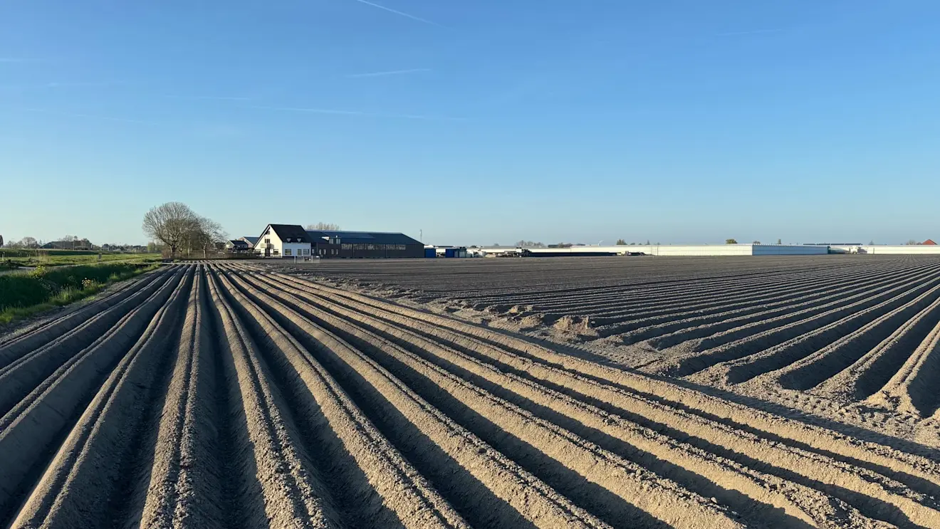 Ook in Nederland is het al lange tijd droog - Jolanda Bakker