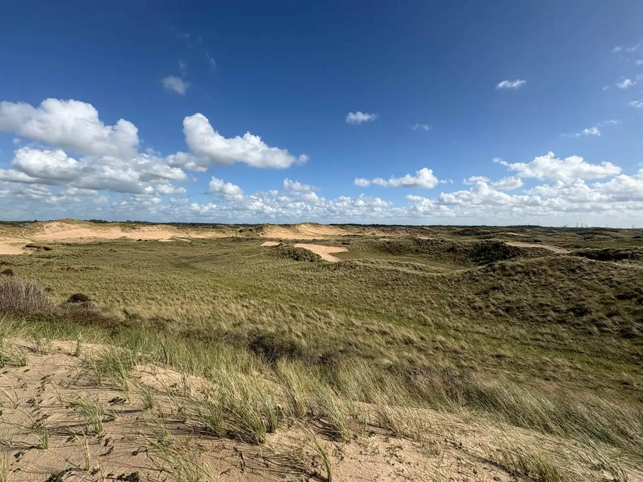 Verstuiving in het duinlandschap - Pieter Bliek